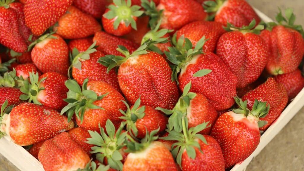 The Villages Strawberry Festival